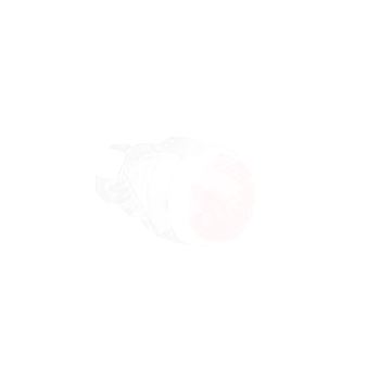 024413 Кнопка выступ.зеленая (024413  Legrand)
