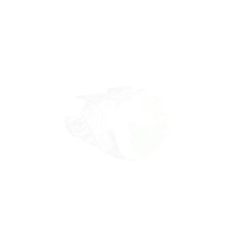 024504 Кнопка с возвр. утопл. красн. (024504  Legrand)