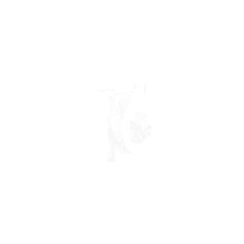 024754 Контактн.блок 1N/C+1N/C Signis (024754  Legrand)