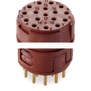 EPIC M23 17P BEM (5)