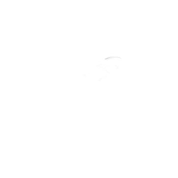 Маркировка CLI C 02-9 WS/SW PEN CD