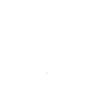 Вертикальный регулируемый угол 110x300