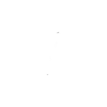 Вертикальный регулируемый угол 110x300