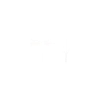 Заглушка RICS-5009-50-22
