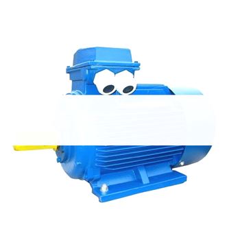 Эл.дв. 5АИ 200 L6 30/1000  IM 1001  Эл.Мех. 380В/660В (5АИ200L6)
