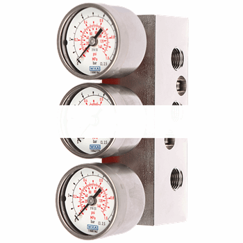 GAUGE MADE OF STAINLESS STEEL 316, STAINLESS STEEL BLOCK, DOUBLE-ACTION 1/4-18 NPT, SCALED IN MPA, BAR AND PSI