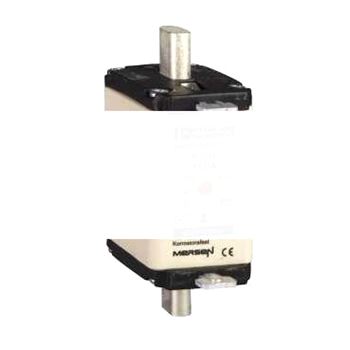 Предохранитель OE GF 100A