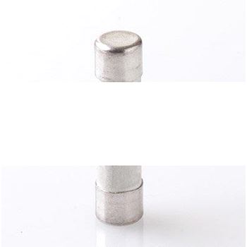 Предохранитель плавкий E 9F10 GG10 (E 9F10 GG10)