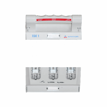 рубильник RBK 1 250А (RBK 1 250А)