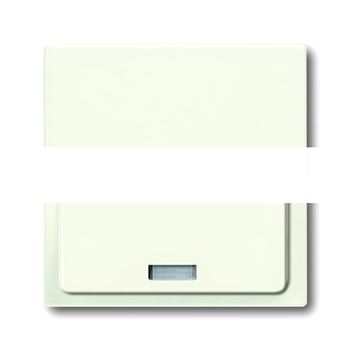 BASIC 55 Плата центральная (накладка) для механизма док-станции Busch-iDock 8218U chalet-white