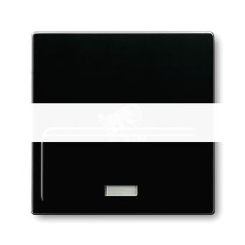 BASIC 55 Плата центральная (накладка) для механизма док-станции Busch-iDock 8218U chateau-black
