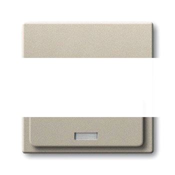 BASIC 55 Плата центральная (накладка)для механизма док-станции Busch-iDock 8218U шампань