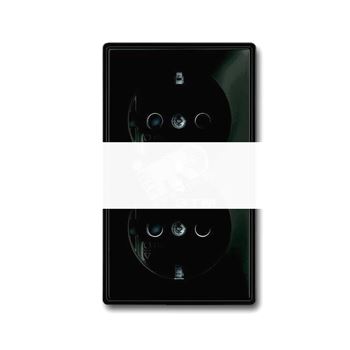 BASIC 55 Розетка двойная с заземлением со шторками цвет chateau-black 16А 250В SCHUKO