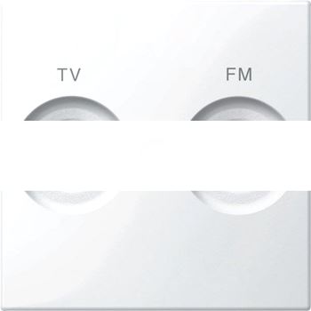 Центральная плата с маркировкой FM и TV белый