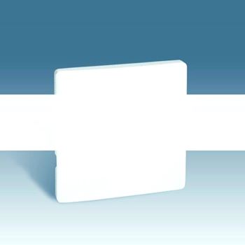 Клавиша для 75101-,75150-,75152-,75201-,75251-,75211-39, S82,82N, белый