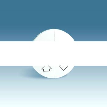 Клавиши (2 шт) для 75331-,75332-39, S88, графит