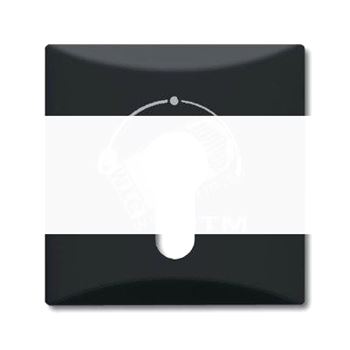 Накладка для выключателя с замком (IP44) Allwetter 44 антрацит