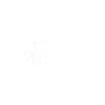 Oteo Выключатель одноклавишный 2п 10А 250В комбинированный (86103)