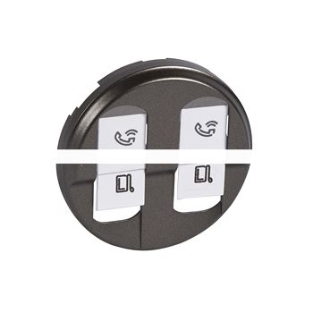Панель лицевая Графит розетки RJ-45 двойной