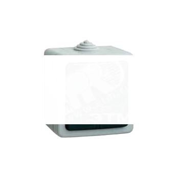PLEXO Выкл д/жалюзи кноп 6А IP55 (91615)
