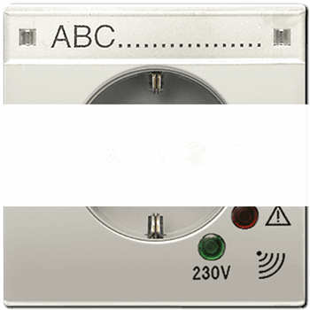 Штепсельная розетка SCHUKO 16А 250V~ с защитой от перенапряжения  благородная сталь