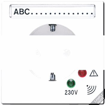 Штепсельная розетка SCHUKO 16А 250V~ с защитой от перенапряжения и полем для надписи