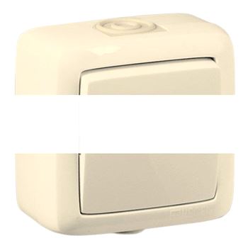 Выключатель двухклавишный наружный слоновая кость IP44 10А