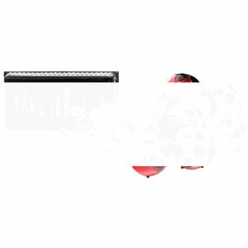 881CD 9*LED 142*74*283мм божьи коровки гирлянда (6082)