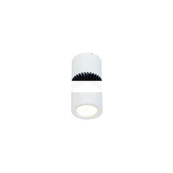 Светильник светодиодный BARRO 10w LED 3000K       накладной белый down light