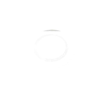 Светильник светодиодный ДВО-01-004-0001-20 IP20 встраиваемый спот 300Лм